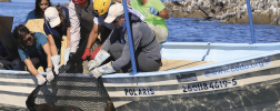 WIKA 压力表助力墨西哥营救海狮。